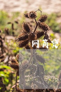 网商贷逾期会从小号扣吗 网商贷逾期会从小号扣吗