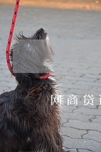 网商贷逾期会关吗 网商贷逾期会关吗