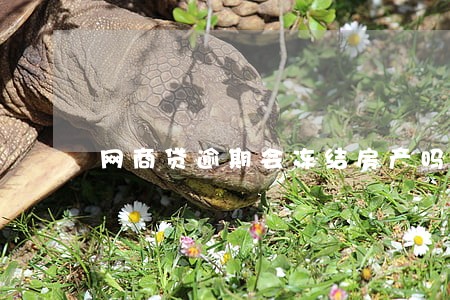 网商贷逾期会冻结房产吗