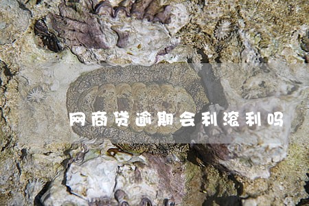 网商贷逾期会利滚利吗 网商贷逾期会利滚利吗