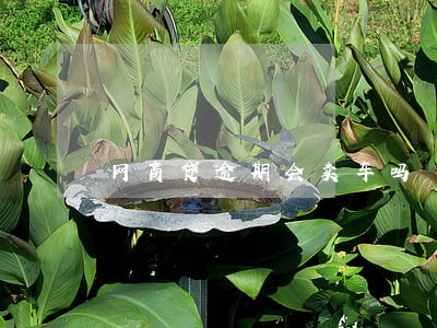 网商贷逾期会卖车吗 网商贷逾期会卖车吗