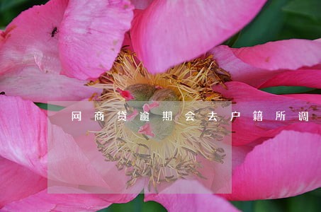 网商贷逾期会去户籍所调查吗 网商贷逾期会去户籍所调查吗