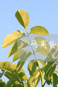 网商贷逾期会发律师 网商贷逾期会发律师