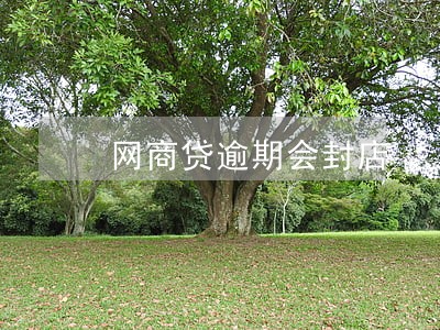 网商贷逾期会封店 网商贷逾期会封店