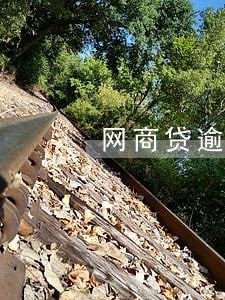网商贷逾期会影响信用卡吗 网商贷逾期会影响信用卡吗