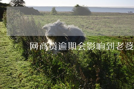 网商贷逾期会影响到老婆的吗