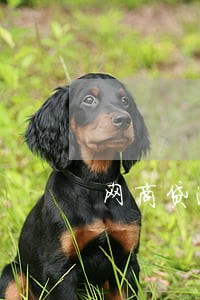 网商贷逾期会影响子女 网商贷逾期会影响子女