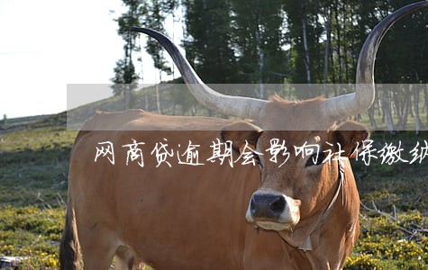 网商贷逾期会影响社保缴纳吗 网商贷逾期会影响社保缴纳吗