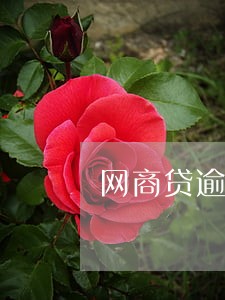 网商贷逾期会打电话给家人吗 网商贷逾期会打电话给家人吗