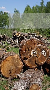 网商贷逾期会拿房子拍卖么 网商贷逾期会拿房子拍卖么
