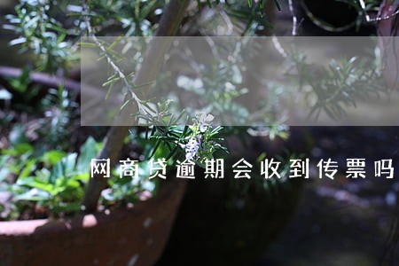 网商贷逾期会收到传票吗 网商贷逾期会收到传票吗