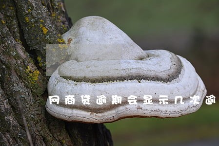 网商贷逾期会显示几次逾期