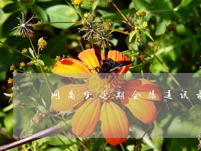 网商贷逾期会爆通讯录嘛 网商贷逾期会爆通讯录嘛