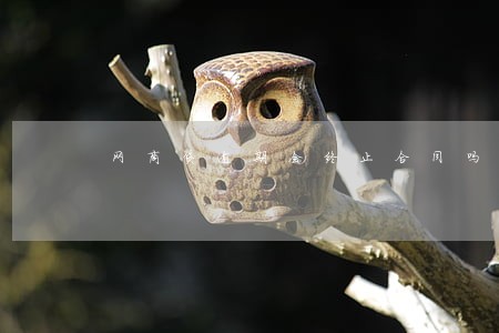 网商贷逾期会终止合同吗
