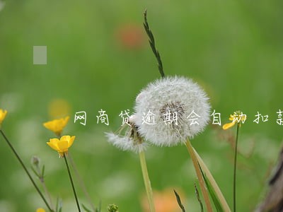 网商贷逾期会自动扣款吗