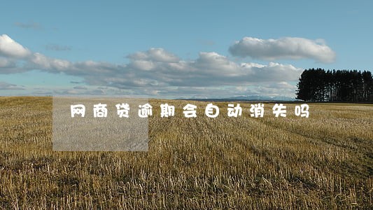 网商贷逾期会自动消失吗 网商贷逾期会自动消失吗