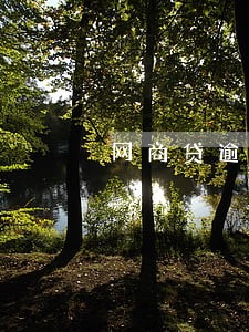 网商贷逾期会被上门吗 网商贷逾期会被上门吗
