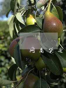 网商贷逾期会被怎样催收 网商贷逾期会被怎样催收