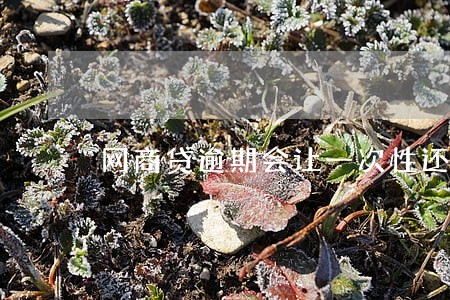 网商贷逾期会让一次性还清吗 网商贷逾期会让一次性还清吗