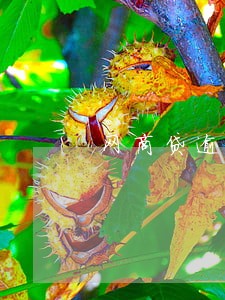 网商贷逾期传票 网商贷逾期传票