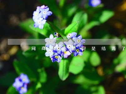 网商贷逾期但是结清了影响房贷吗 网商贷逾期但是结清了影响房贷吗