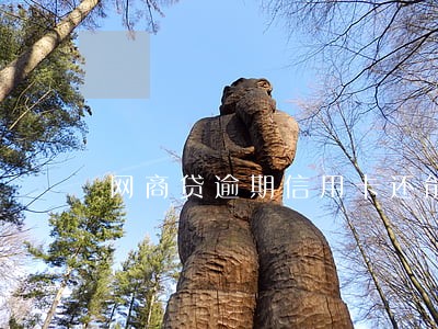 网商贷逾期信用卡还能用吗华夏 网商贷逾期信用卡还能用吗华夏