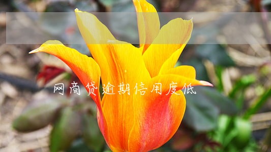 网商贷逾期信用度低 网商贷逾期信用度低
