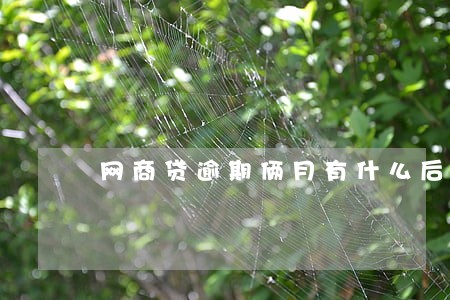 网商贷逾期俩月有什么后果 网商贷逾期俩月有什么后果