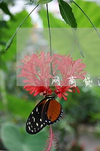 网商贷逾期借呗会受影响吗 网商贷逾期借呗会受影响吗