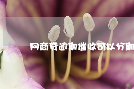 网商贷逾期催收可以分期么 网商贷逾期催收可以分期么