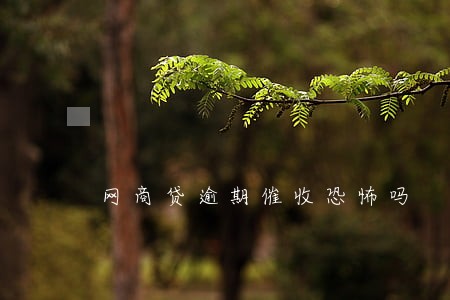 网商贷逾期催收恐怖吗 网商贷逾期催收恐怖吗