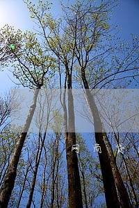 网商贷逾期催收步骤 网商贷逾期催收步骤
