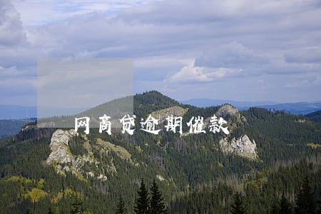 网商贷逾期催款 网商贷逾期催款
