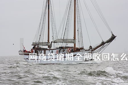 网商贷逾期全部收回怎么办