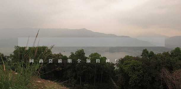 网商贷逾期全额算利息 网商贷逾期全额算利息