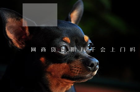 网商贷逾期八千会上门吗 网商贷逾期八千会上门吗