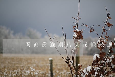 网商贷逾期八天花呗被冻结 网商贷逾期八天花呗被冻结