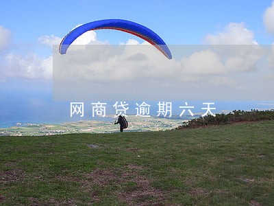 网商贷逾期六天 网商贷逾期六天