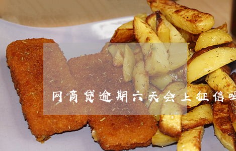 网商贷逾期六天会上征信吗 网商贷逾期六天会上征信吗