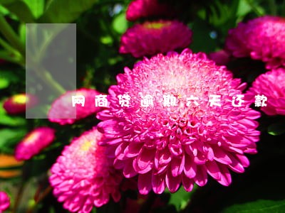 网商贷逾期六天还款 网商贷逾期六天还款