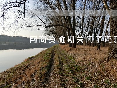 网商贷逾期关闭了还款通道 网商贷逾期关闭了还款通道
