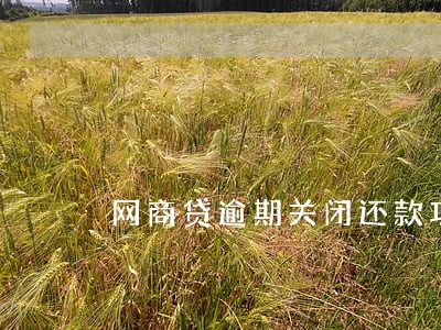 网商贷逾期关闭还款功能 网商贷逾期关闭还款功能