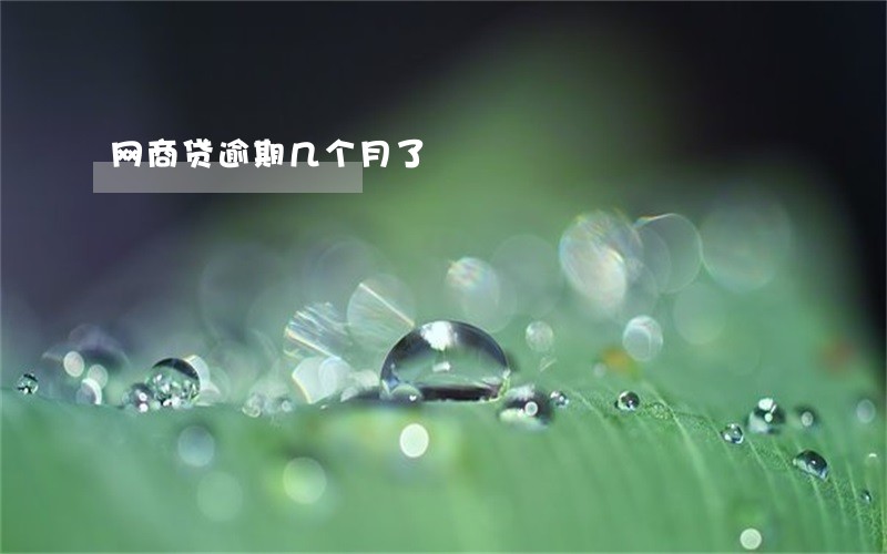 网商贷逾期几个月了 网商贷逾期几个月了