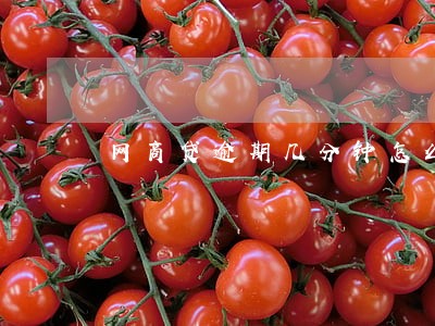 网商贷逾期几分钟怎么办 网商贷逾期几分钟怎么办