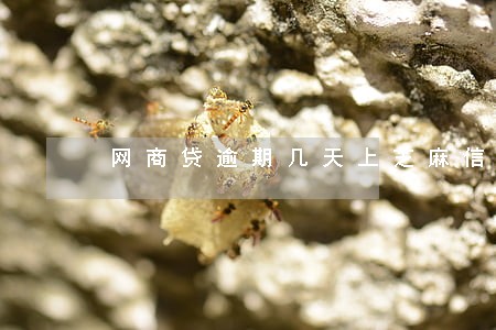 网商贷逾期几天上芝麻信用 网商贷逾期几天上芝麻信用