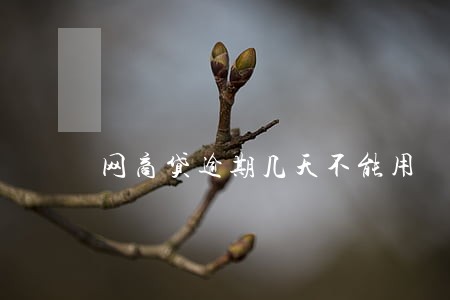 网商贷逾期几天不能用 网商贷逾期几天不能用