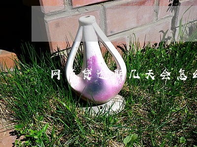 网商贷逾期几天会怎么样