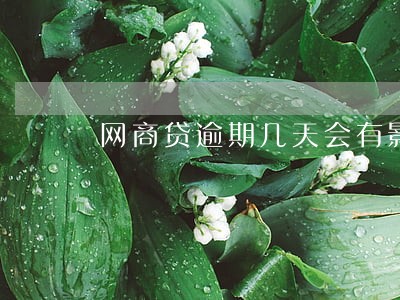 网商贷逾期几天会有影响吗 网商贷逾期几天会有影响吗