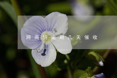 网商贷逾期几天催收 网商贷逾期几天催收