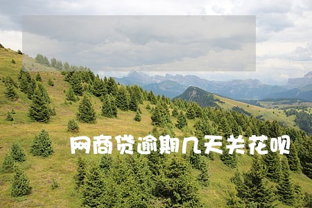 网商贷逾期几天关花呗 网商贷逾期几天关花呗